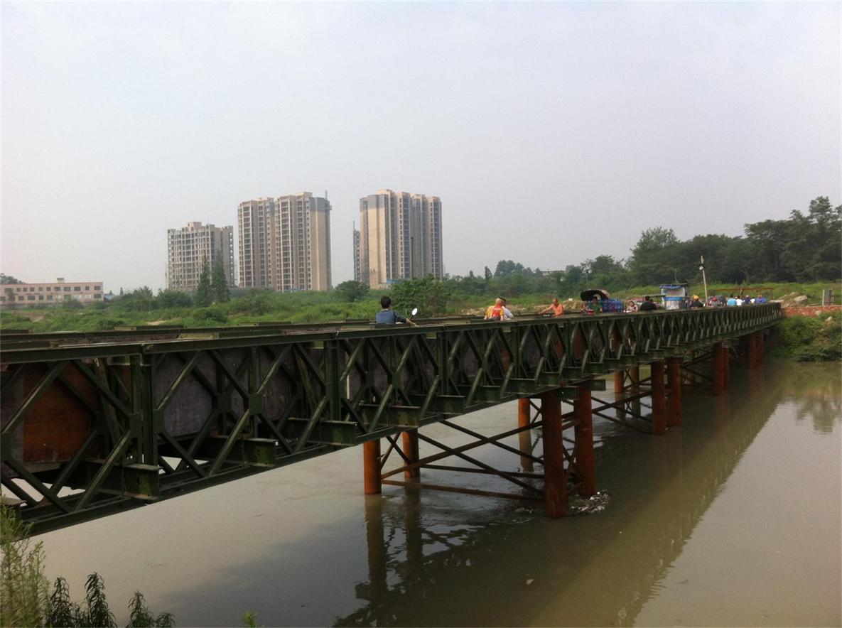尾图1